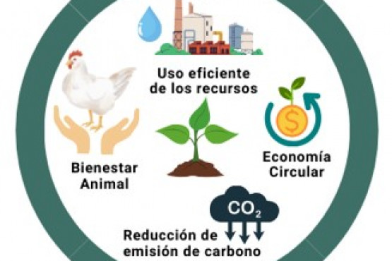 La sostenibilidad en la producción será el tema central de la próxima Jornada Avícola